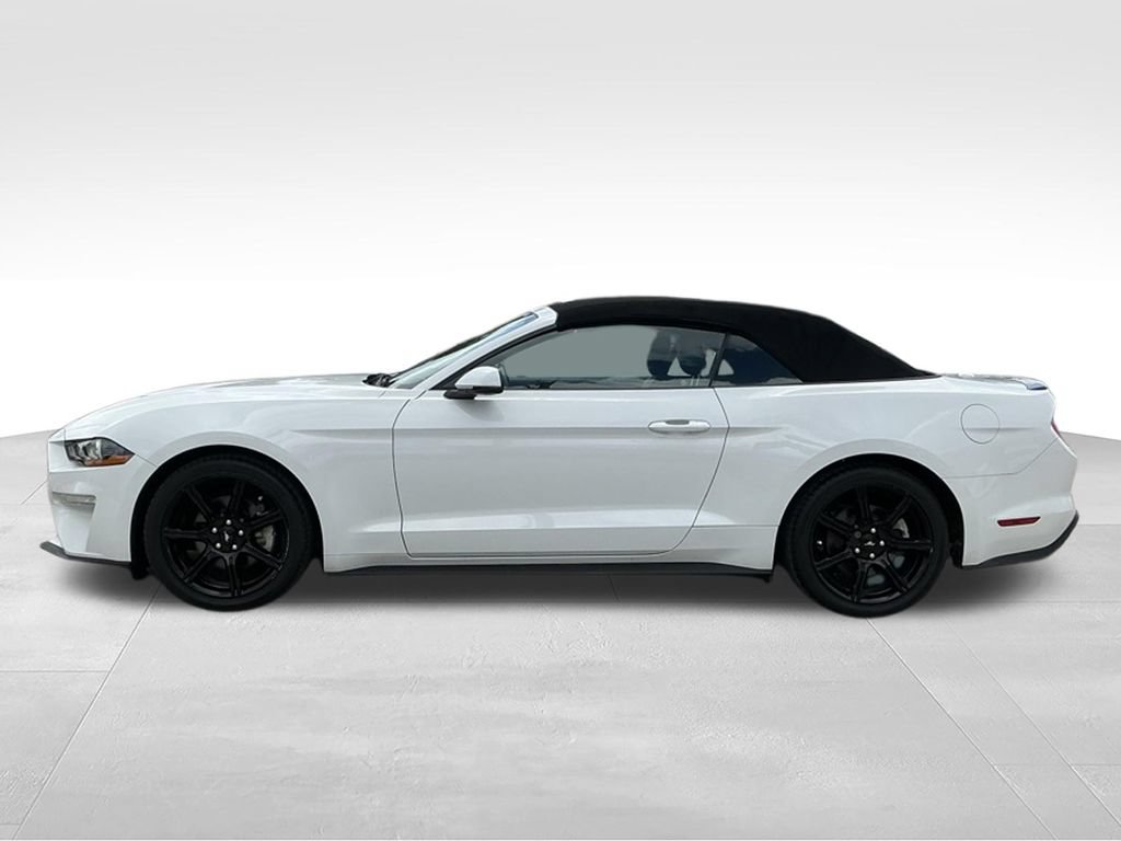 Certified 2019 Ford Mustang Premium w/ Black Accent Package RWD image 8