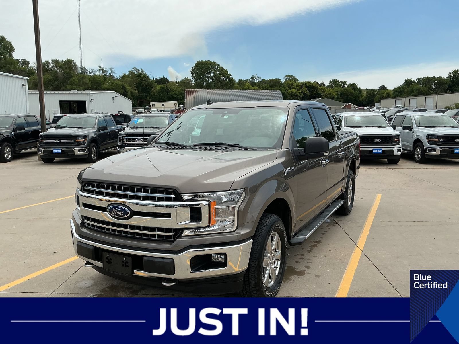 Certified 2019 Ford F150 XLT w/ Equipment Group 302A Luxury AWD/4WD image 1