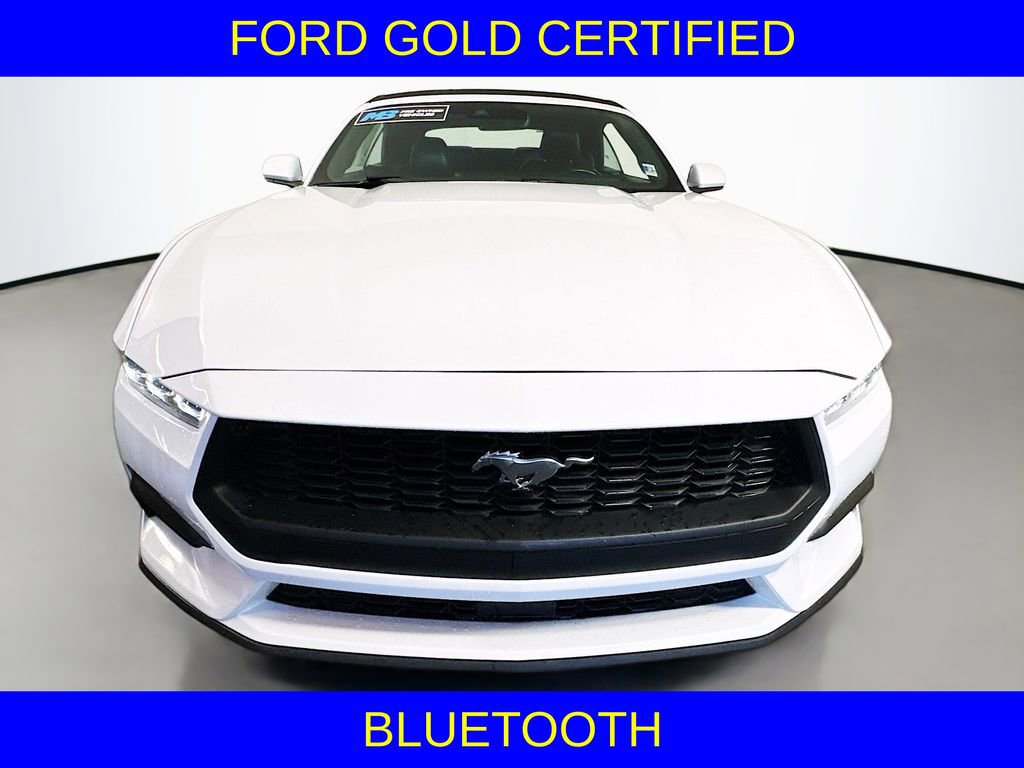 Certified 2024 Ford Mustang Premium image 2