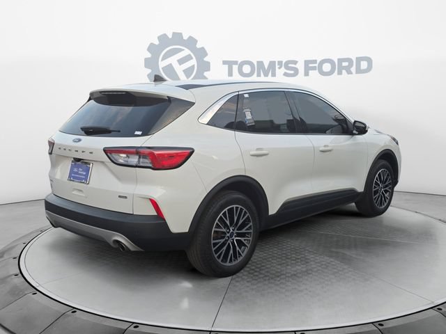 Certified 2022 Ford Escape SEL w/ Technology Package FWD image 6