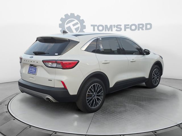 Certified 2022 Ford Escape SEL w/ Technology Package FWD image 6