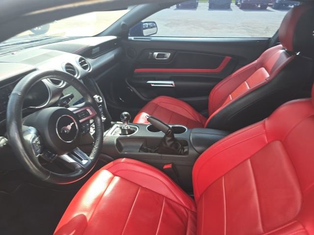Certified 2021 Ford Mustang GT Premium w/ Equipment Group 401A RWD image 9