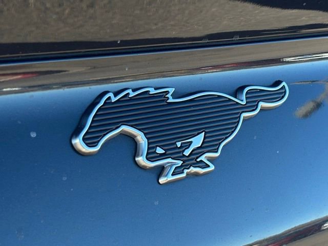 Certified 2022 Ford Mustang Mach-E Premium image 18