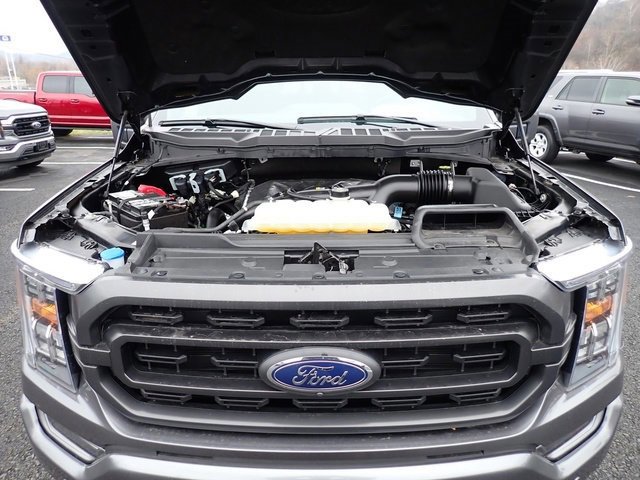 Certified 2023 Ford F150 XLT w/ Equipment Group 302A High image 16