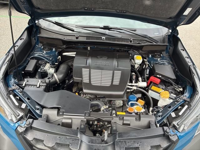 Used 2024 Subaru Forester Wilderness w/ Wilderness Package image 19