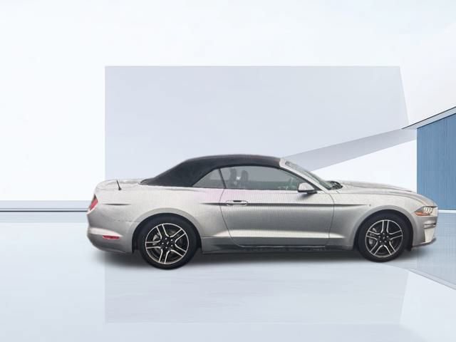 Certified 2023 Ford Mustang Premium image 10