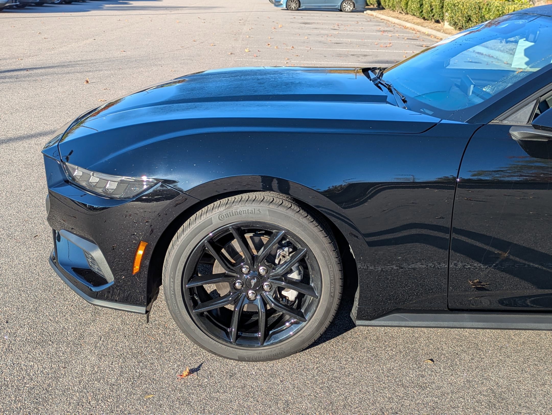 Certified 2025 Ford Mustang Coupe w/ Mustang Nite Pony Package image 10