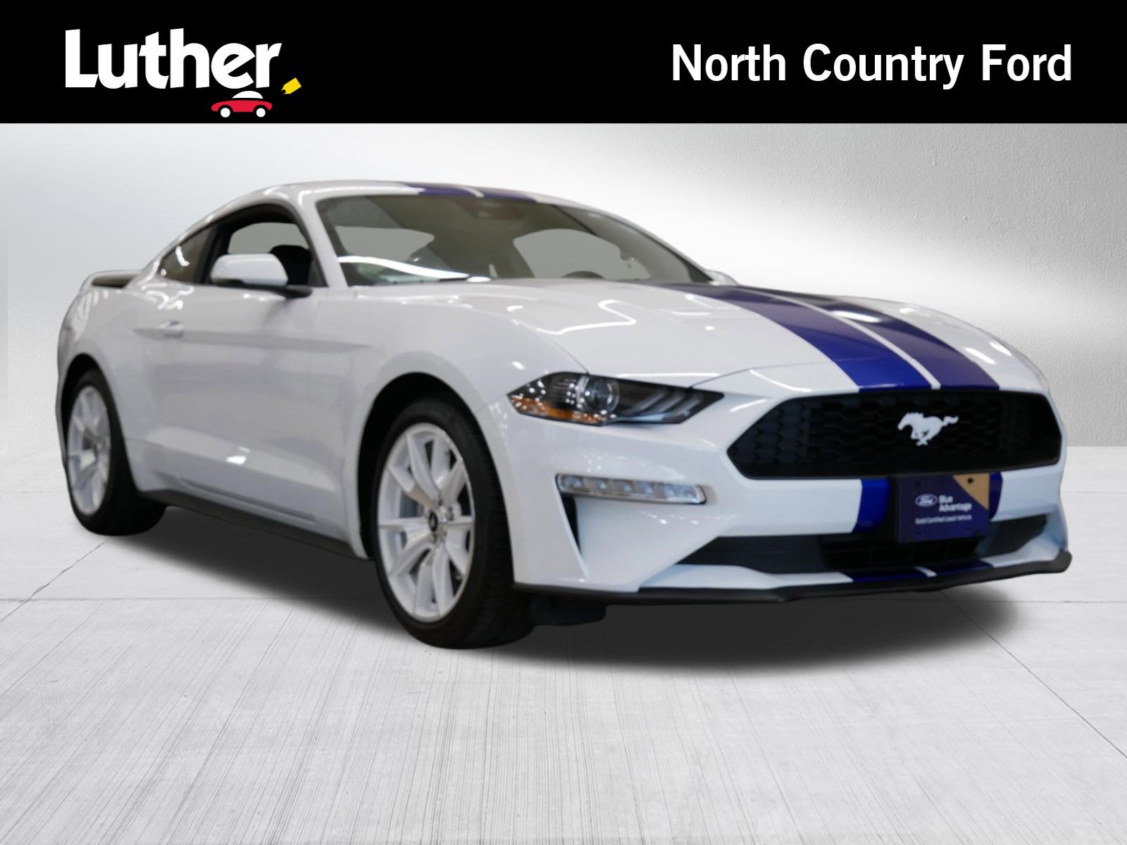 Certified 2022 Ford Mustang Premium w/ Equipment Group 201A