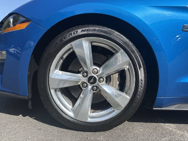 Certified 2019 Ford Mustang GT Premium w/ Equipment Group 401A RWD image 10