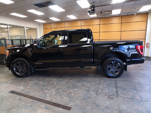 Certified 2023 Ford F150 XLT w/ Equipment Group 302A High AWD/4WD image 4
