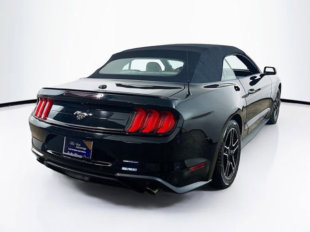 Certified 2023 Ford Mustang Premium image 6