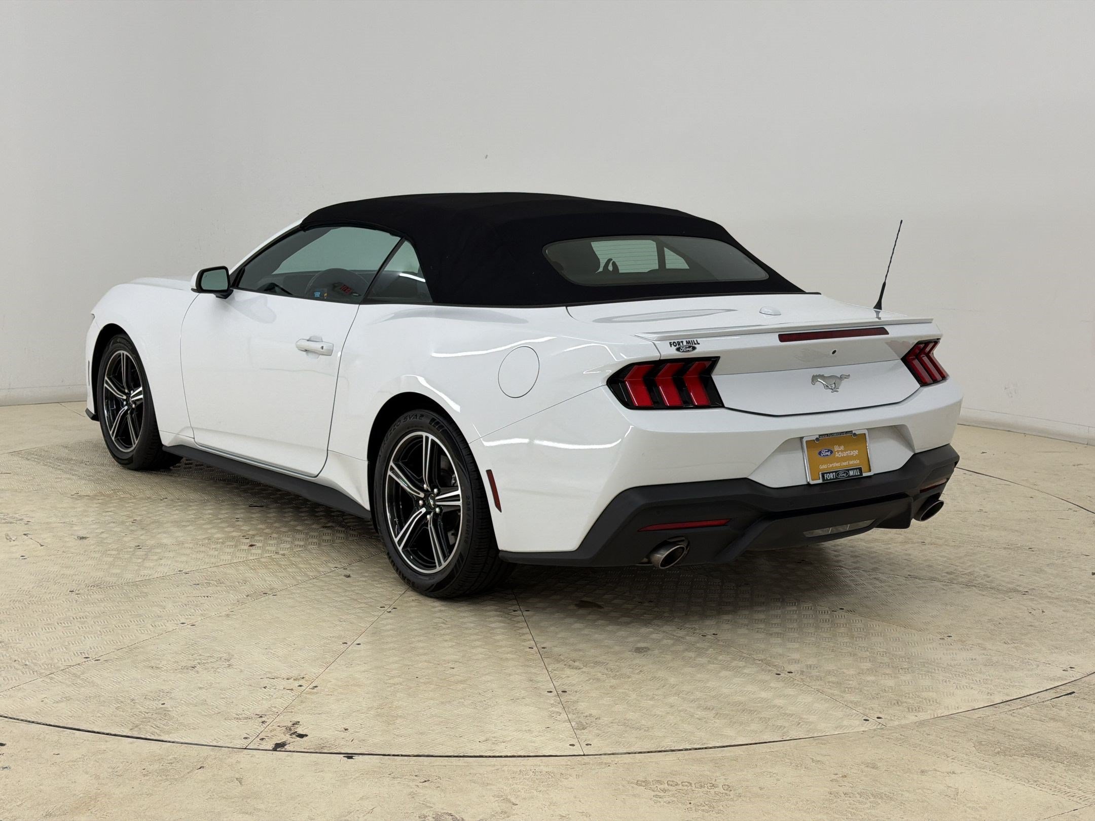 Certified 2025 Ford Mustang Premium RWD image 3