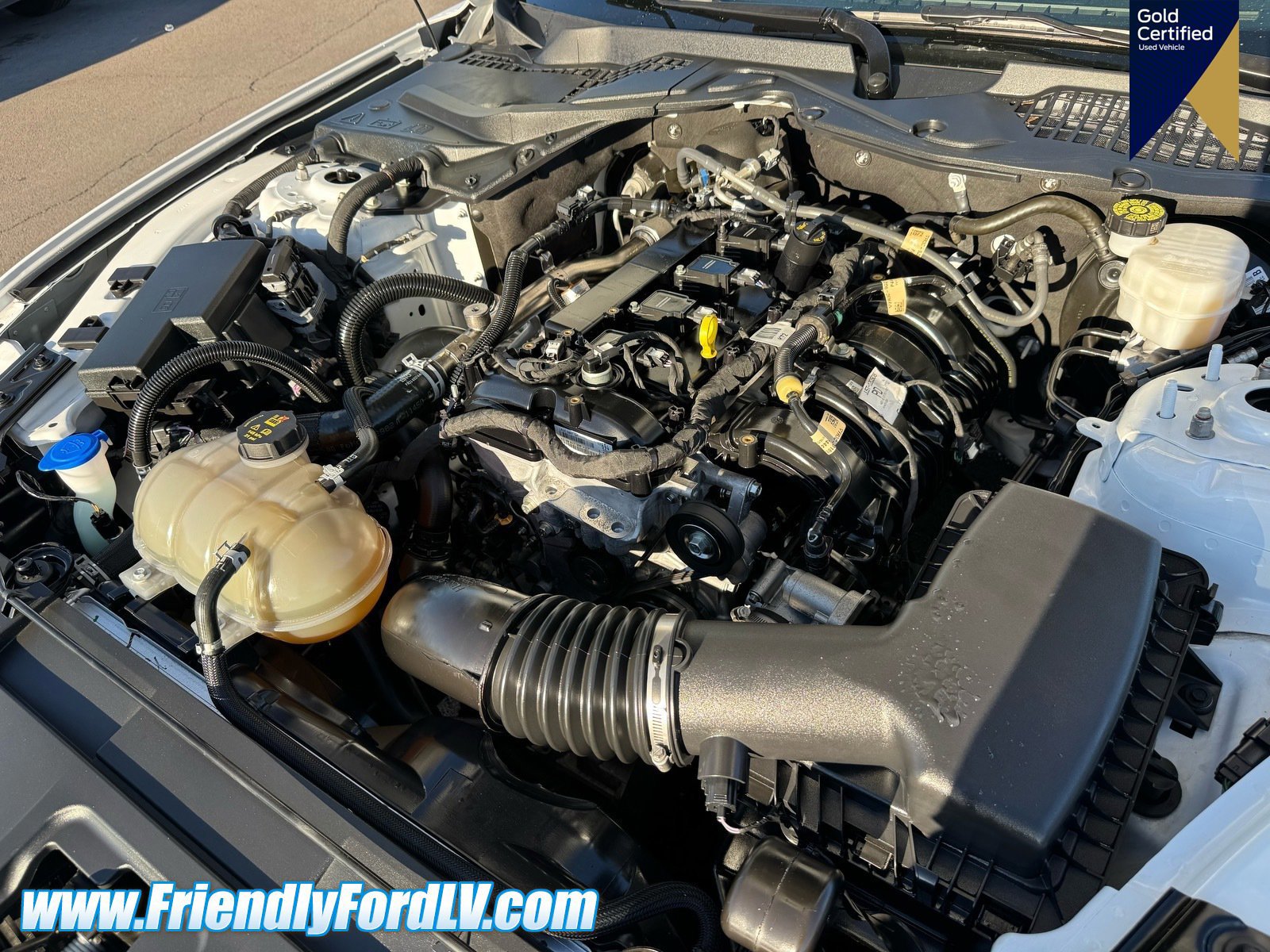 Certified 2022 Ford Mustang Coupe w/ Black Accent Package RWD image 16