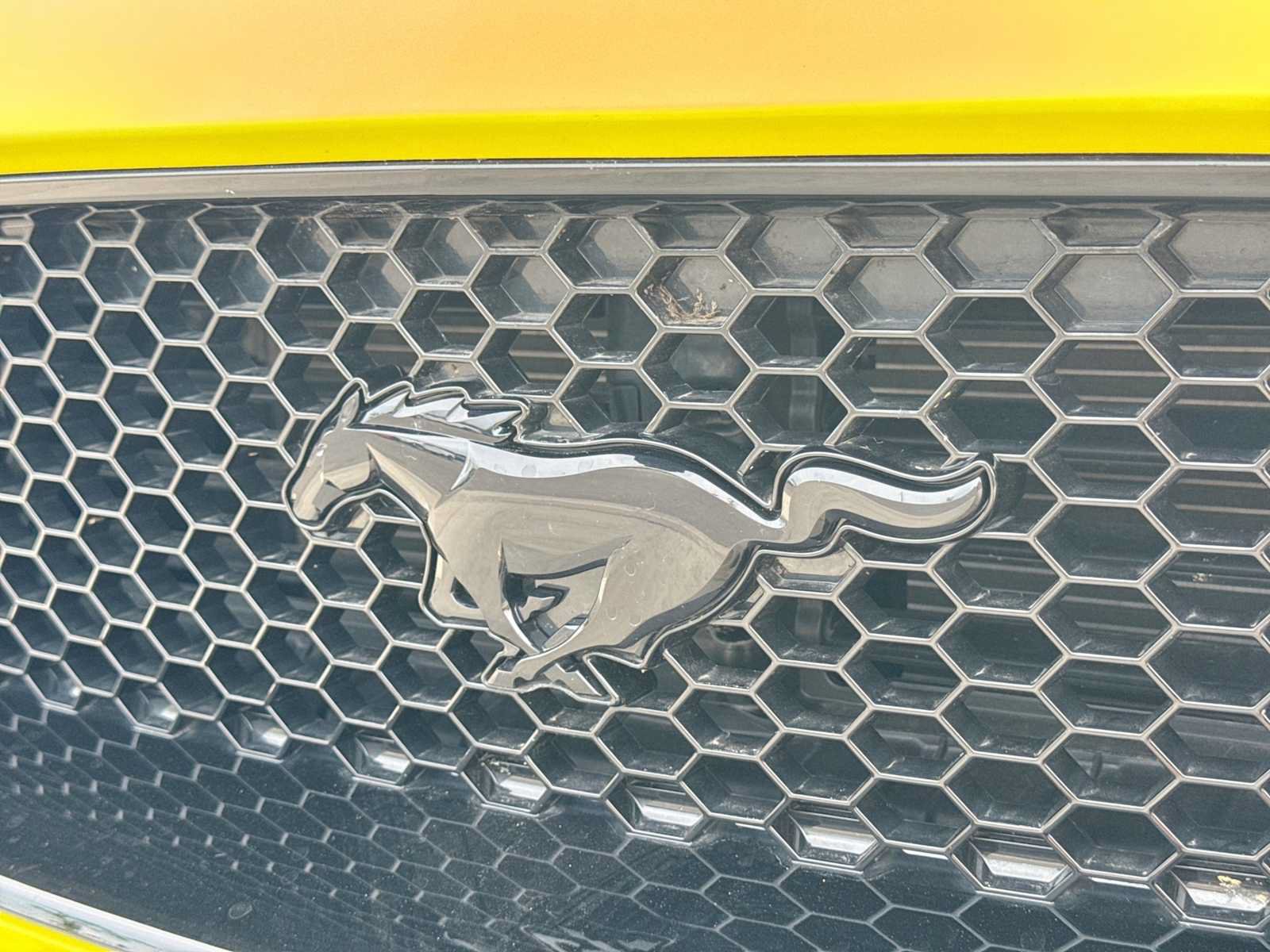 Certified 2021 Ford Mustang GT Premium RWD image 11