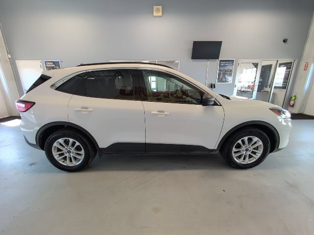 Certified 2022 Ford Escape SE w/ Convenience Package AWD/4WD image 6