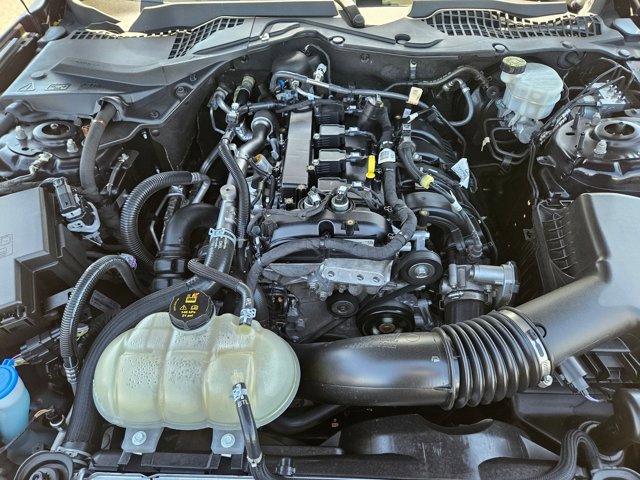 Certified 2021 Ford Mustang Coupe w/ Equipment Group 101A RWD image 20