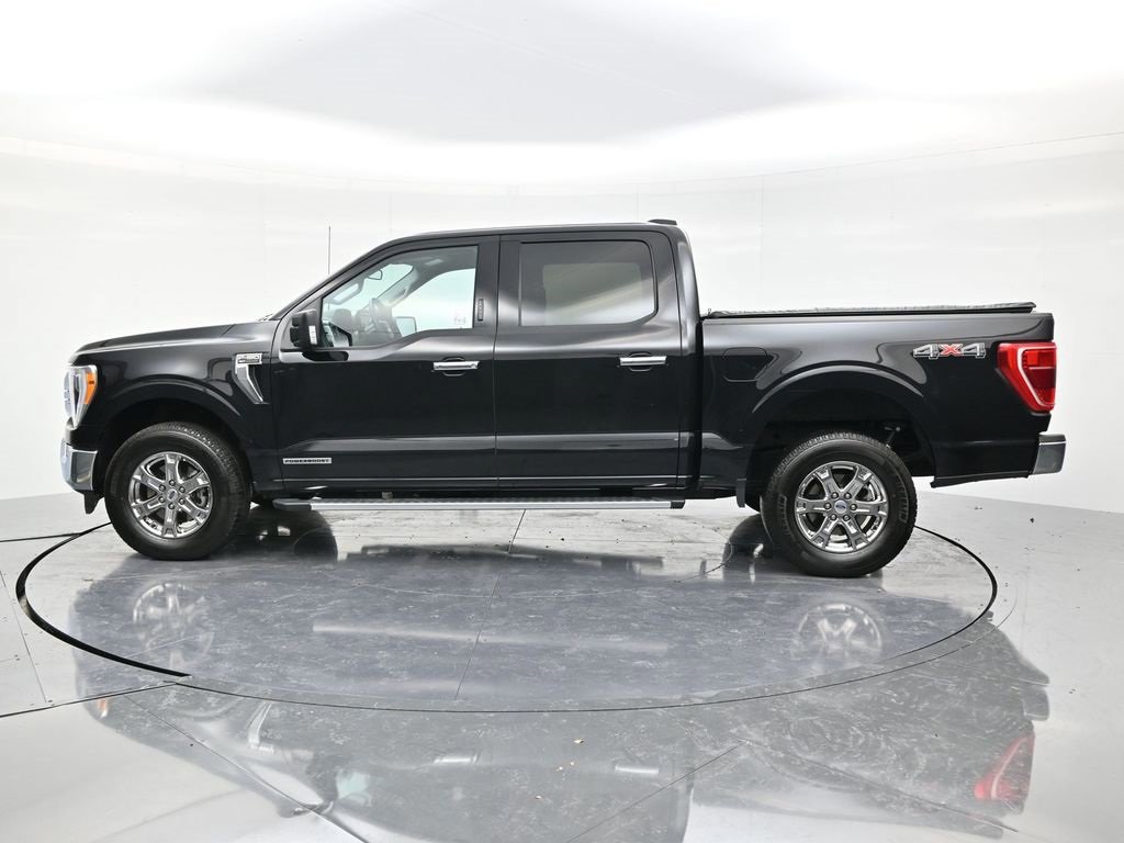 Certified 2023 Ford F150 XLT w/ Equipment Group 302A High image 6