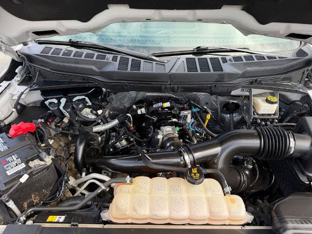 Certified 2026 Ford F150 XLT w/ XLT Black Appearance Package RWD image 14