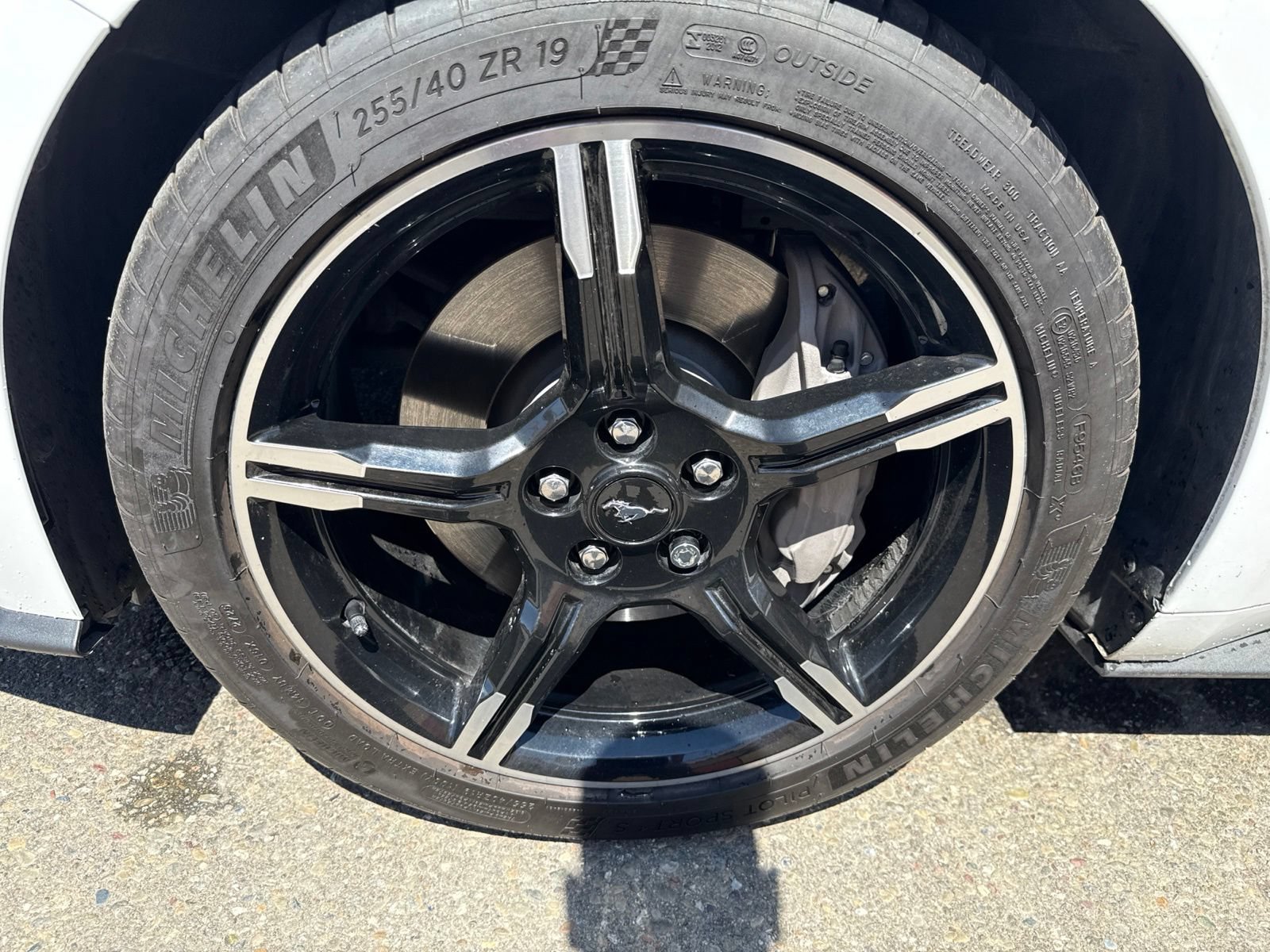 Certified 2019 Ford Mustang GT Premium w/ California Special Package RWD image 22
