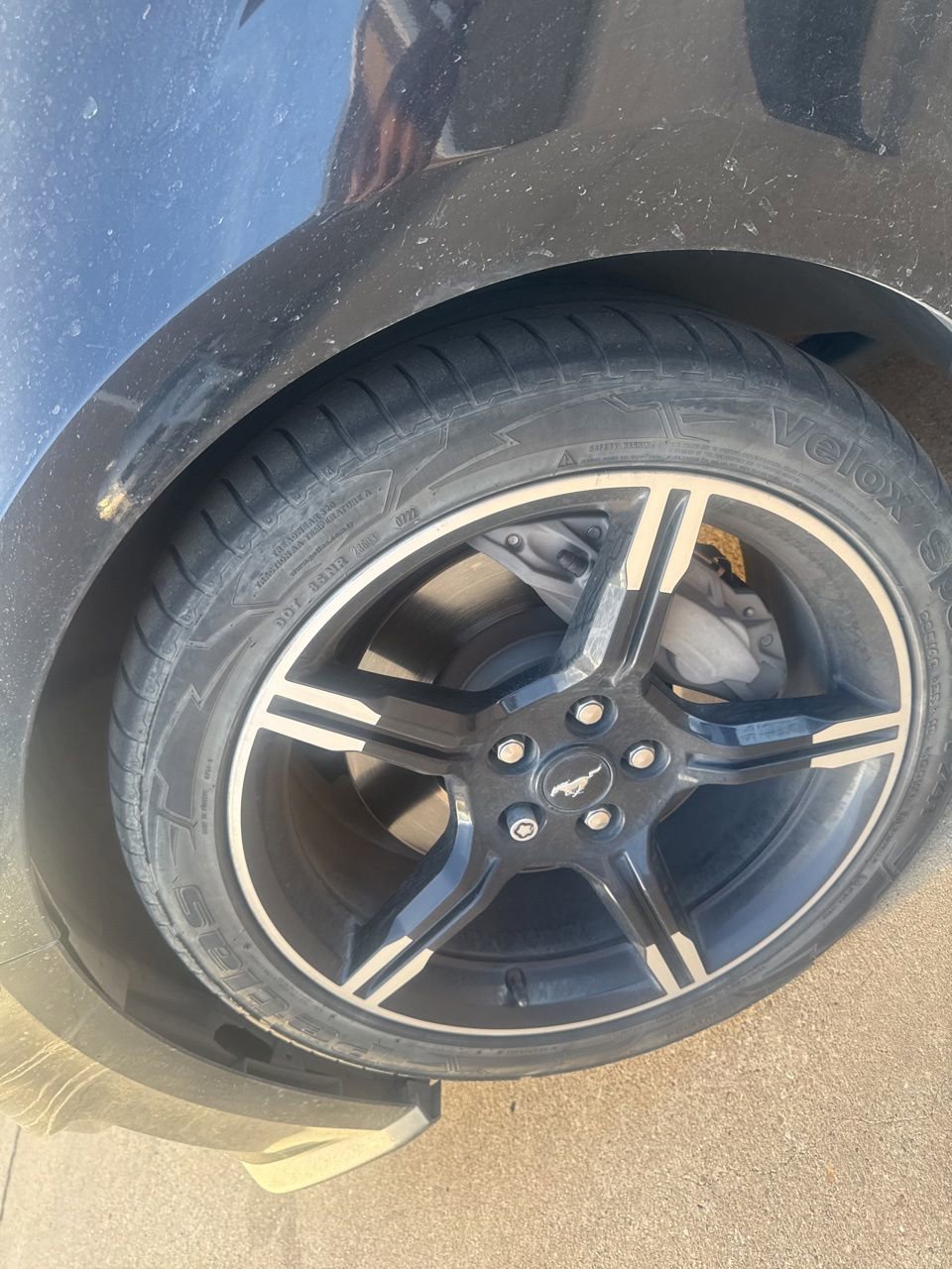 Certified 2019 Ford Mustang GT Premium w/ California Special Package image 8