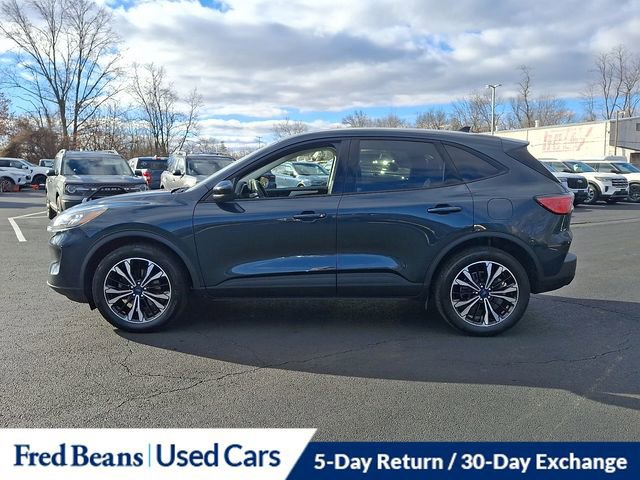 Certified 2022 Ford Escape SE w/ SE Sport Appearance Package image 3