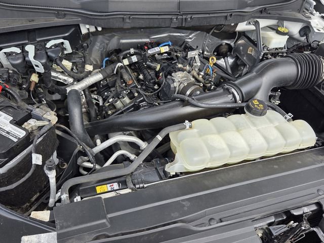 Certified 2021 Ford F150 XL w/ Equipment Group 101A High RWD image 18