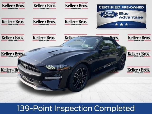 Certified 2019 Ford Mustang Premium RWD image 3
