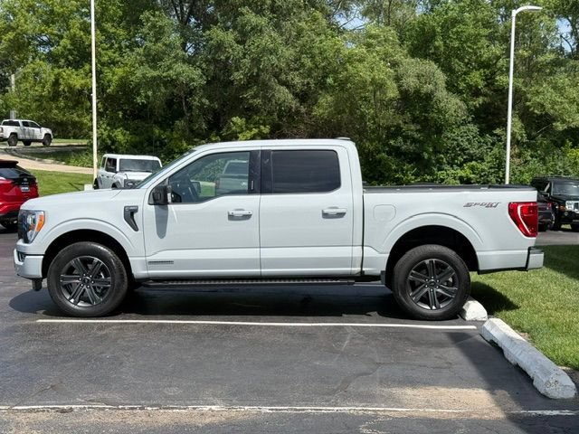 Certified 2023 Ford F150 XLT w/ Equipment Group 302A High AWD/4WD image 4