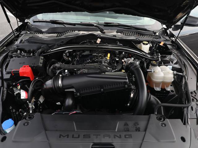 Certified 2024 Ford Mustang Premium RWD image 8