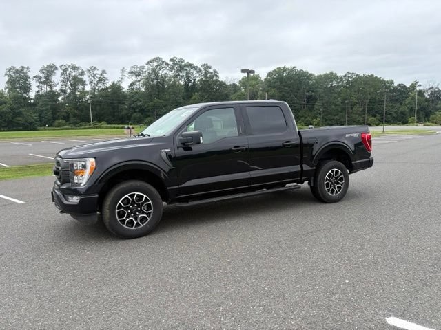 Certified 2023 Ford F150 XLT w/ Equipment Group 302A High AWD/4WD image 3