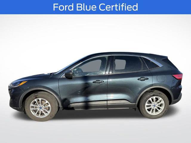 Certified 2022 Ford Escape SE w/ Convenience Package image 6