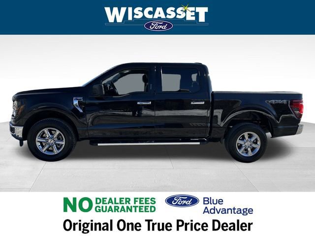 Certified 2024 Ford F150 XLT image 2