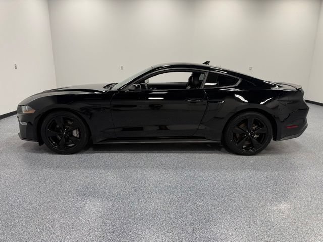 Certified 2023 Ford Mustang GT Premium w/ Mustang Nite Pony Package RWD image 8