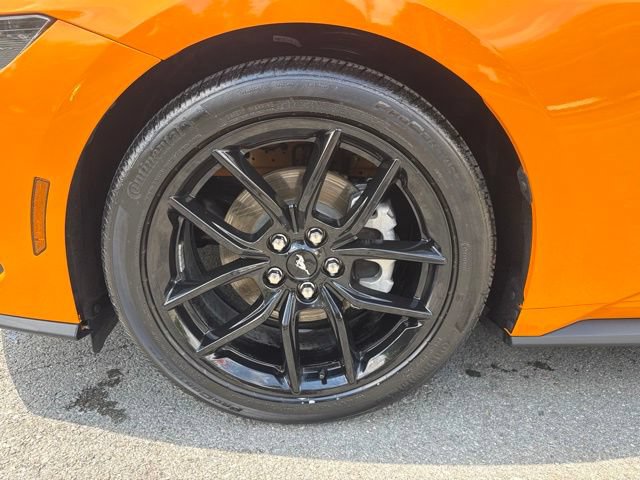 Certified 2026 Ford Mustang Coupe w/ Mustang Nite Pony Package RWD image 15