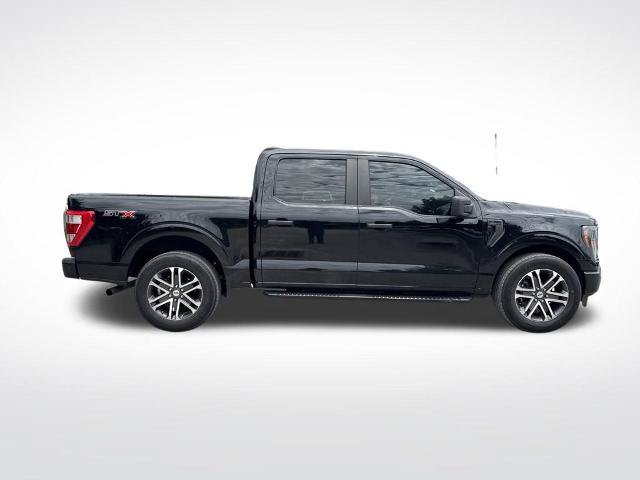 Certified 2023 Ford F150 XL w/ STX Appearance Package RWD image 4