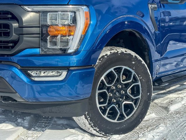 Certified 2022 Ford F150 XLT w/ Equipment Group 302A High image 9