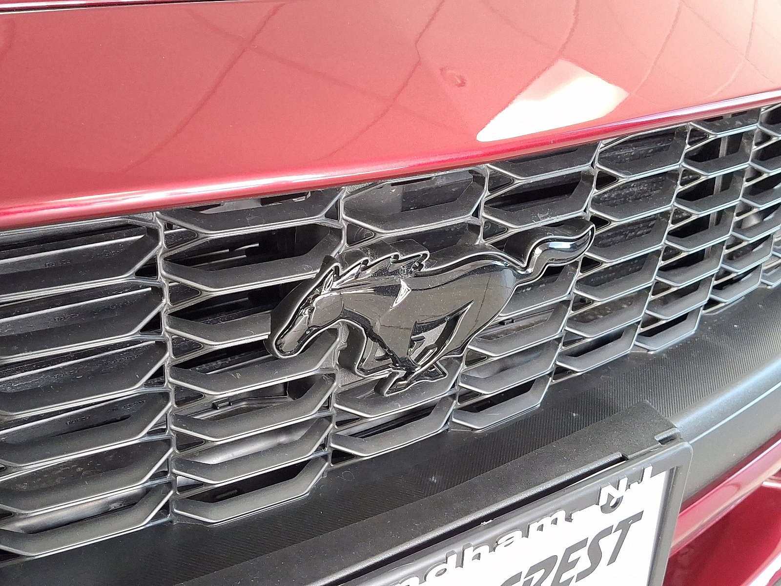 Certified 2025 Ford Mustang Premium w/ Mustang Nite Pony Package image 29