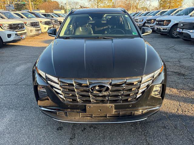 Used 2023 Hyundai Tucson Limited image 8