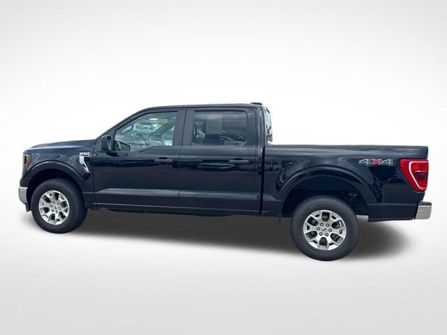 Certified 2023 Ford F150 XLT AWD/4WD image 7