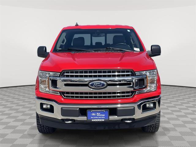 Certified 2019 Ford F150 XLT w/ Equipment Group 302A Luxury AWD/4WD image 4