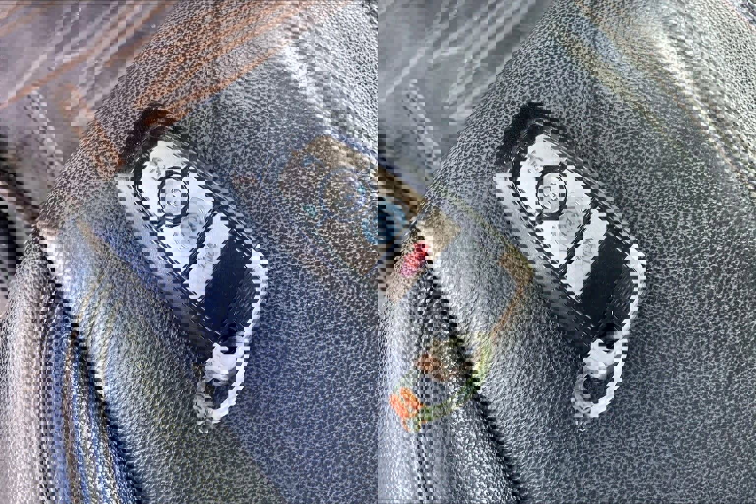 Certified 2021 Ford Ranger Lariat w/ Equipment Group 501A High image 19