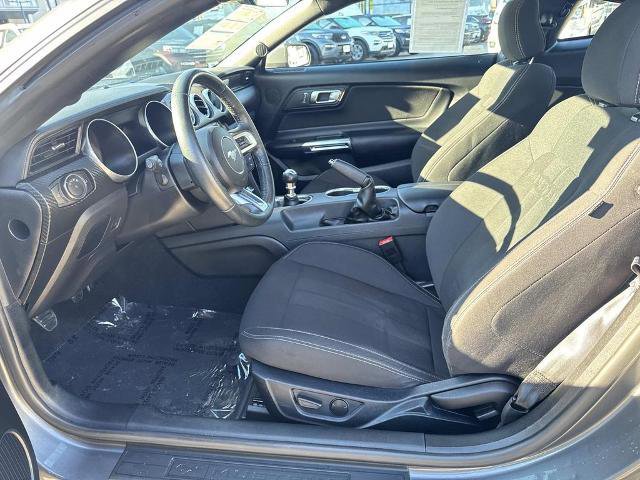 Certified 2021 Ford Mustang EcoBoost w/ Equipment Group 101A image 13