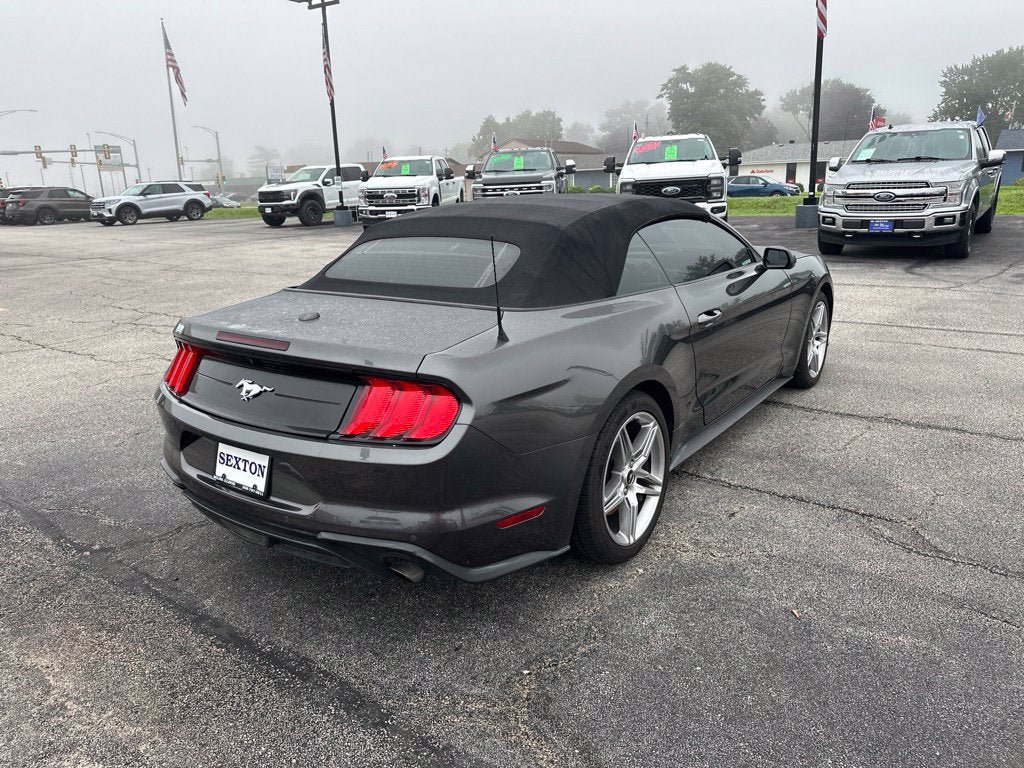 Certified 2019 Ford Mustang Convertible w/ Ecoboost Performance Package RWD image 5