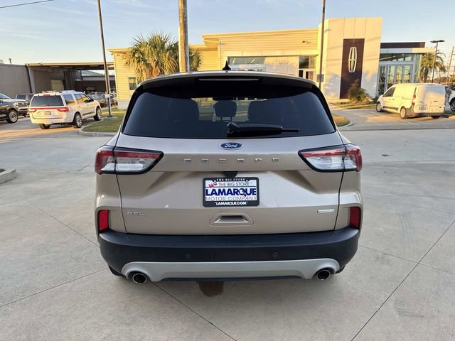 Certified 2020 Ford Escape SEL image 7