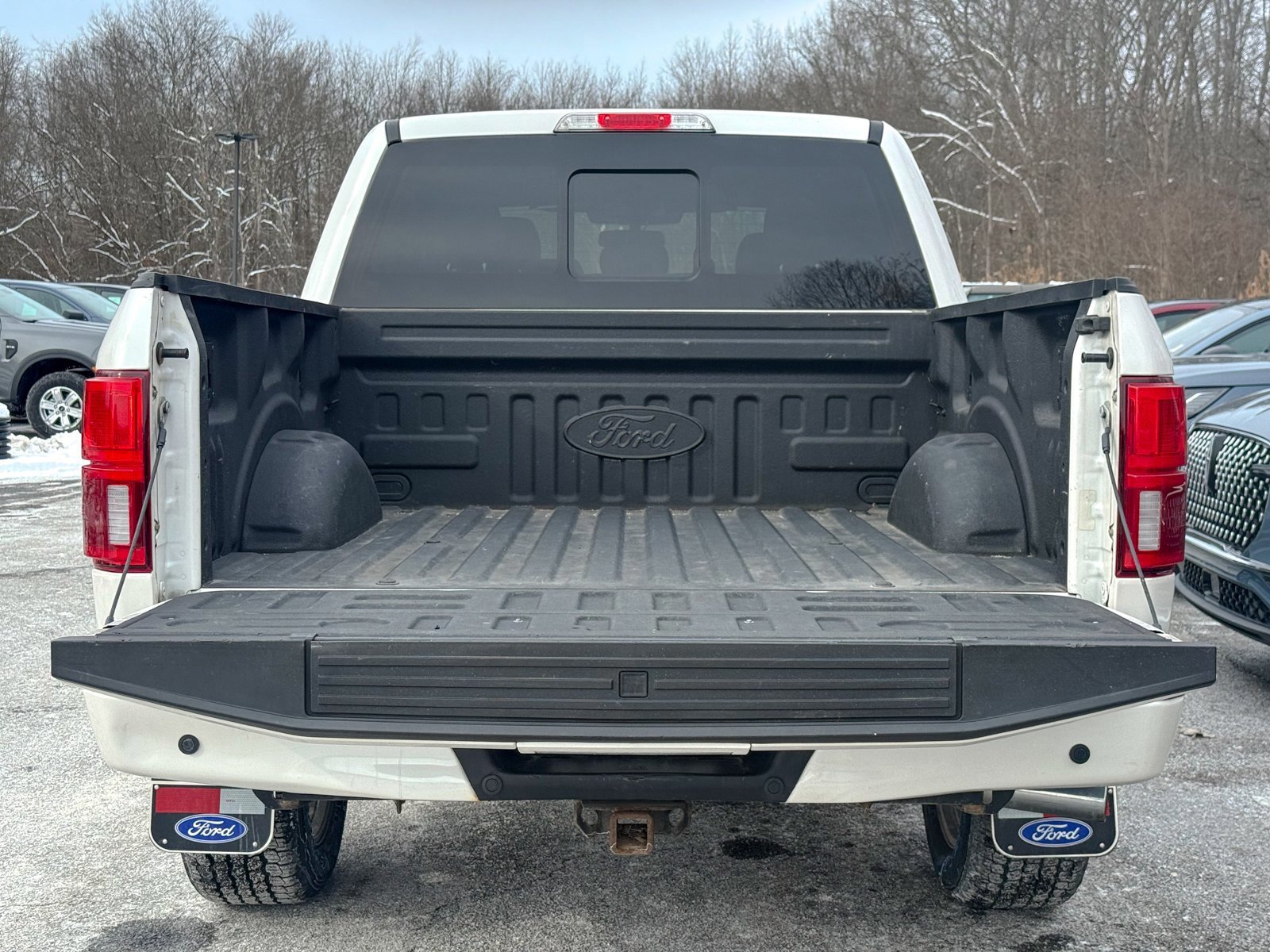 Certified 2019 Ford F150 Platinum w/ Equipment Group 701A Luxury image 14