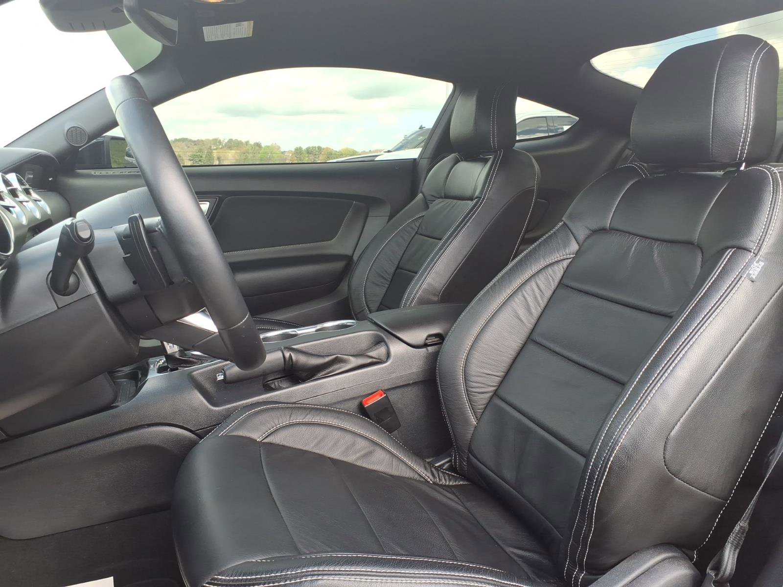 Certified 2023 Ford Mustang GT w/ Mustang Nite Pony Package RWD image 8