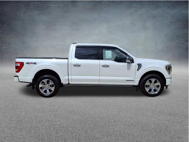 Certified 2023 Ford F150 Platinum w/ Equipment Group 701A High AWD/4WD image 11