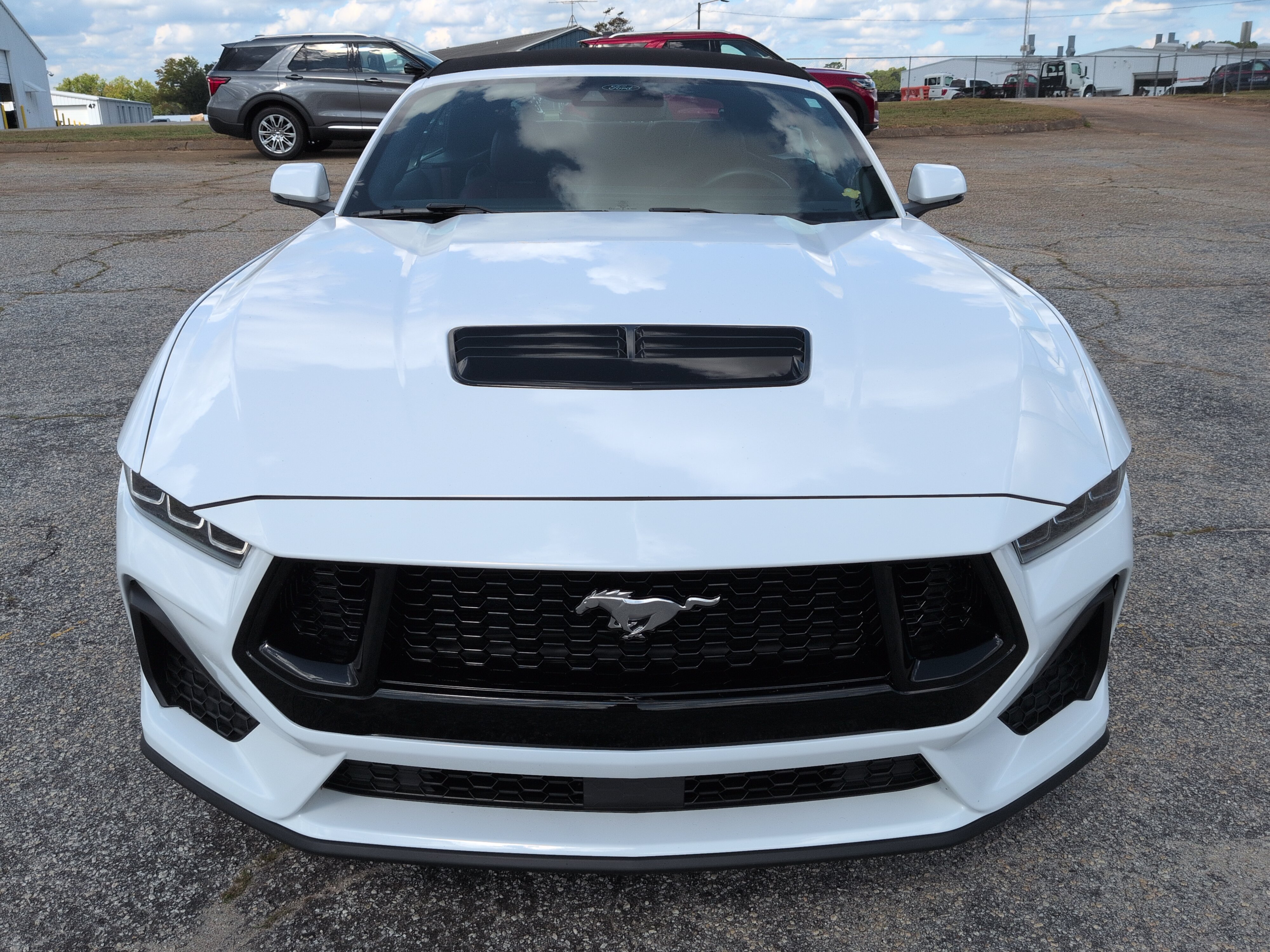 Certified 2024 Ford Mustang GT Premium RWD image 7