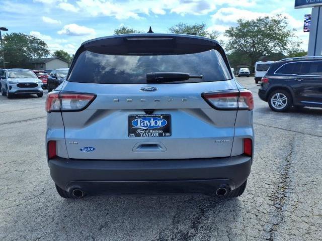 Certified 2022 Ford Escape SE w/ SE Sport Appearance Package image 3