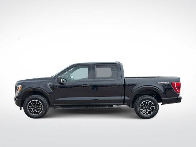 Certified 2023 Ford F150 XLT w/ Equipment Group 302A High AWD/4WD image 5